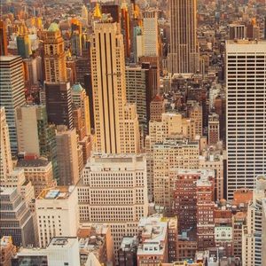 Meet your Posher, Ace